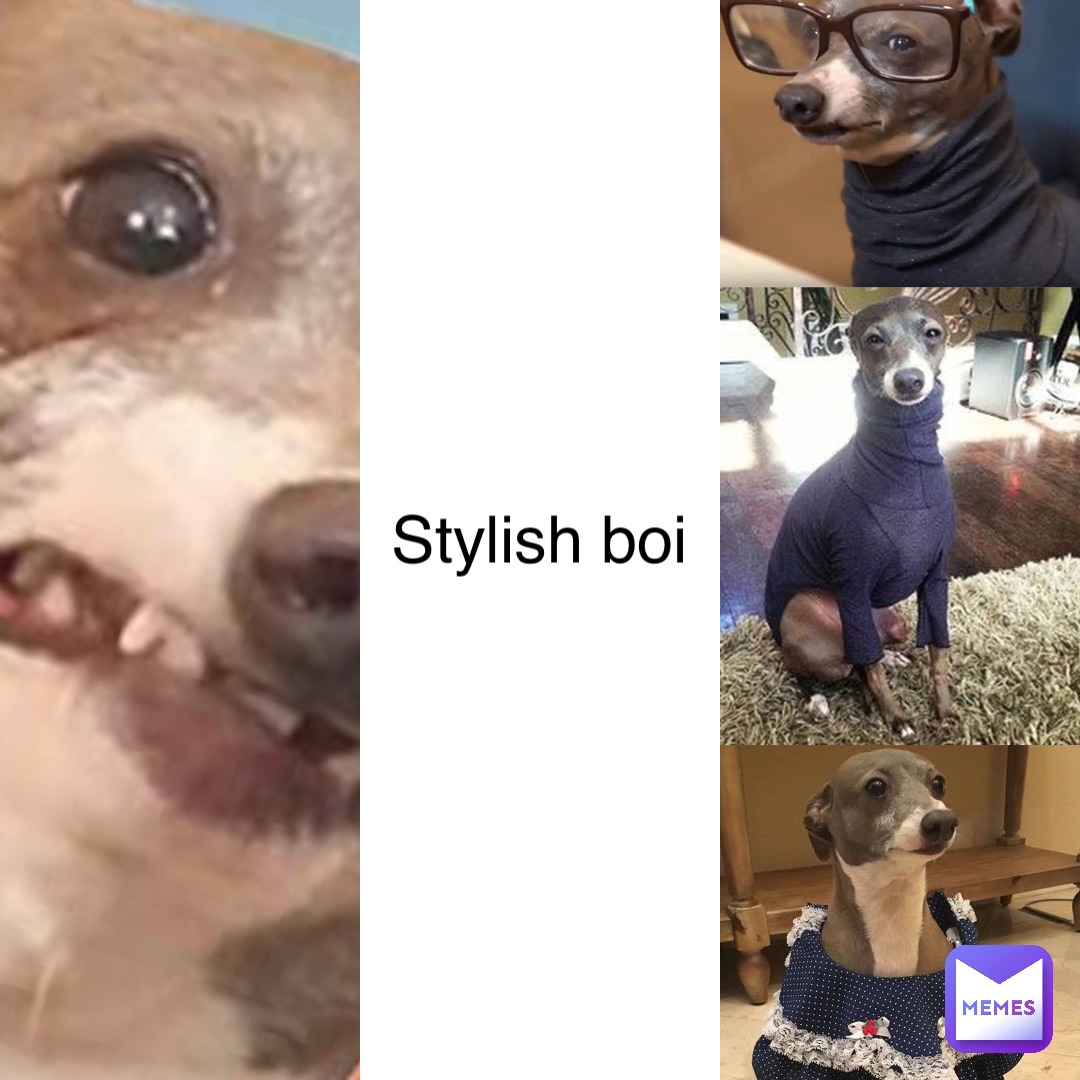 Stylish boi