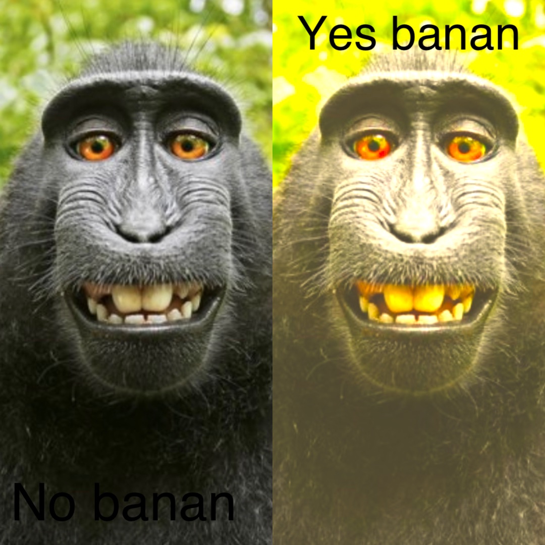 No banan Yes banan