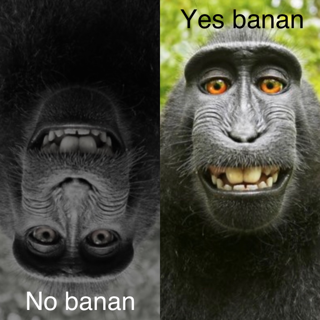 No banan Yes banan