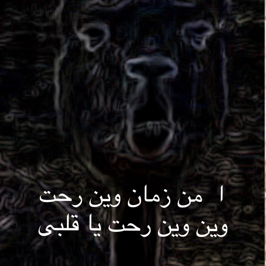 ا  من زمان وين رحت وين وين رحت يا قلبي