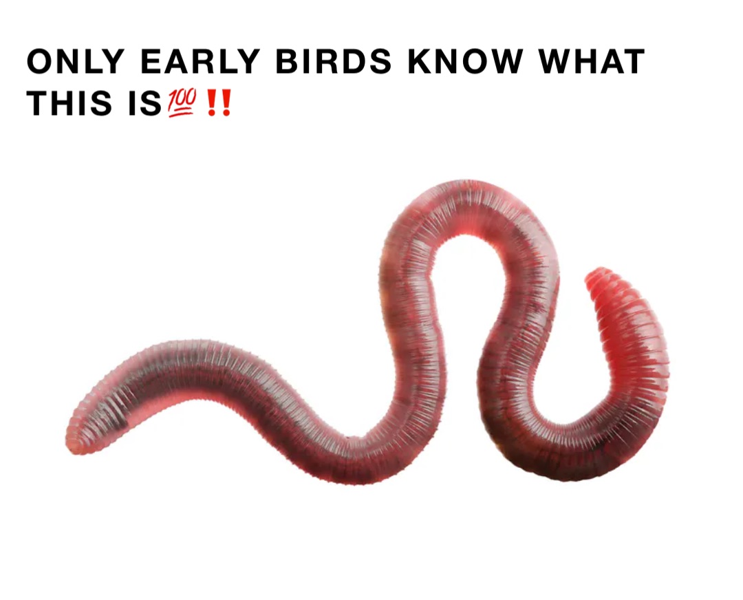ONLY EARLY BIRDS KNOW WHAT THIS IS💯‼️