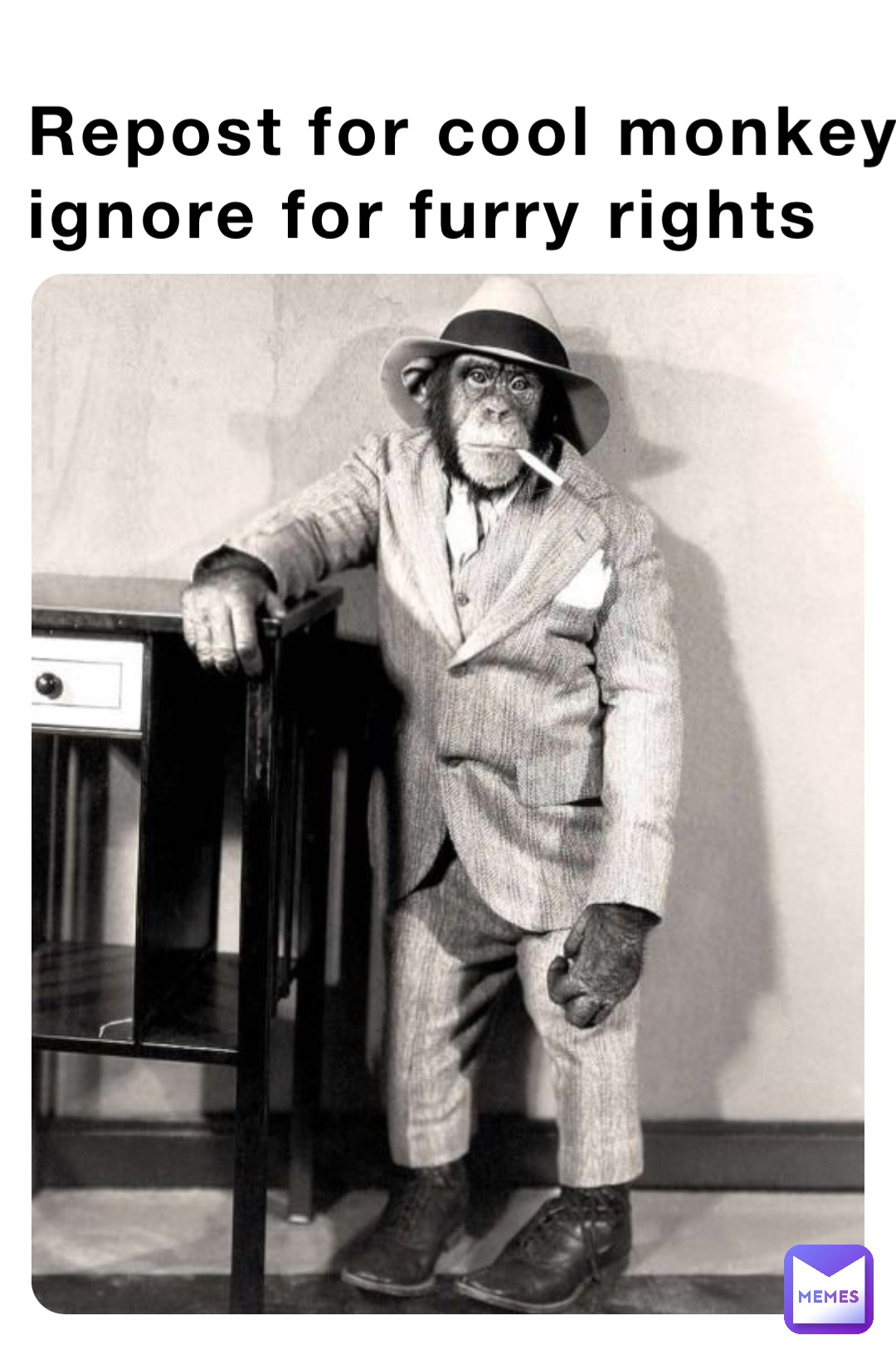 Repost for cool monkey, ignore for furry rights