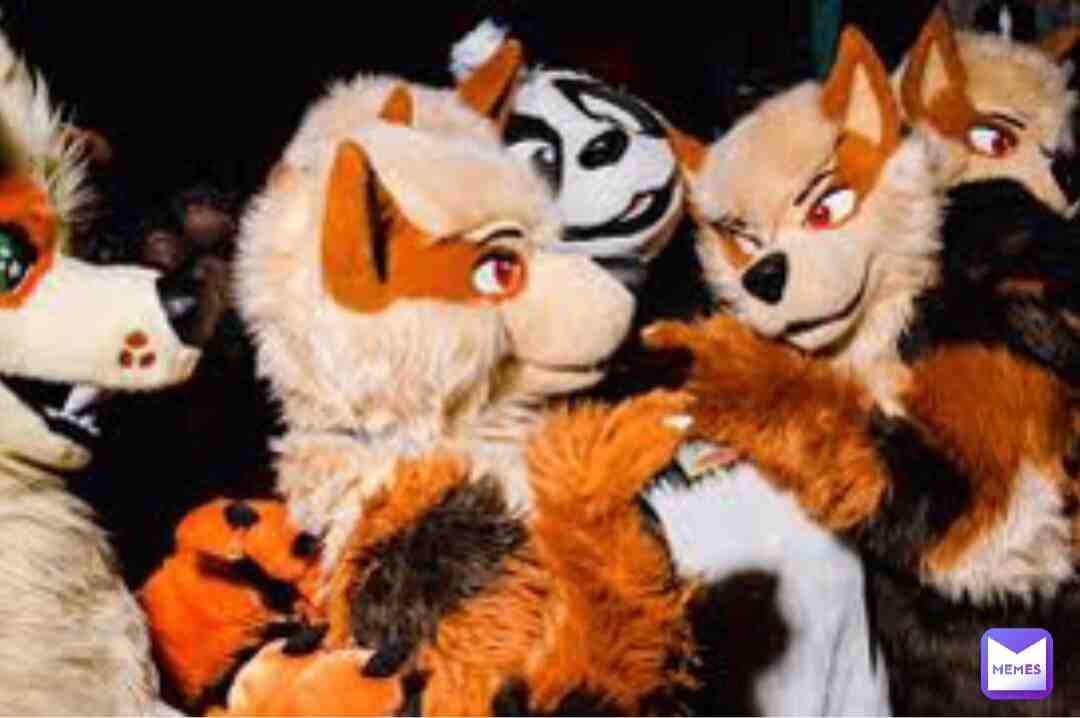 #lol #funny #memes OwO furry party