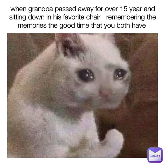 Meme by starprincess