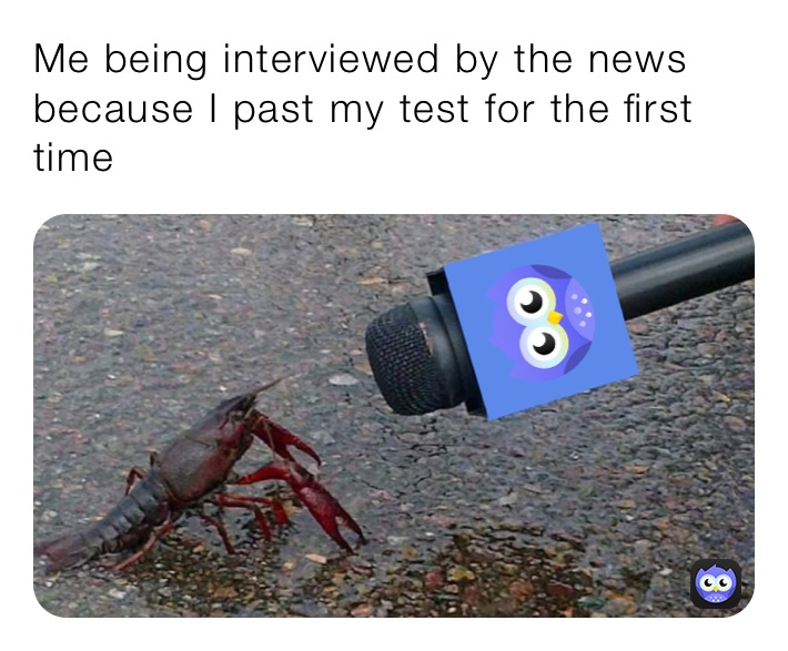 Meme by lolmemes1616