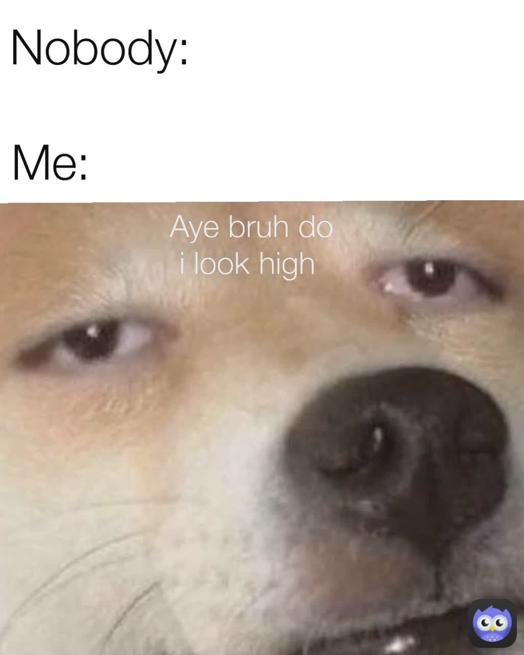 Me:  Aye bruh do i look high  Nobody: