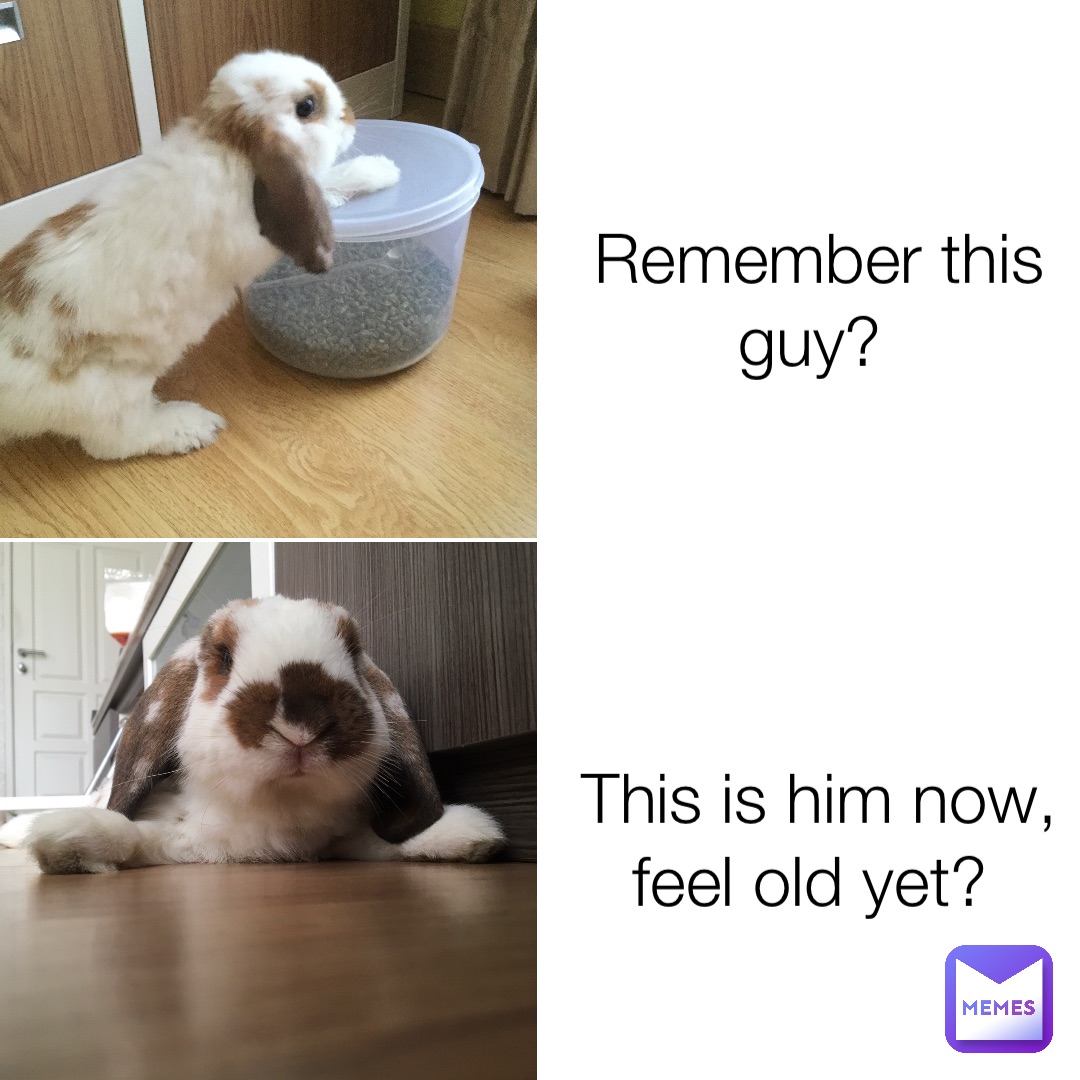 Remember this guy? This is him now, feel old yet?