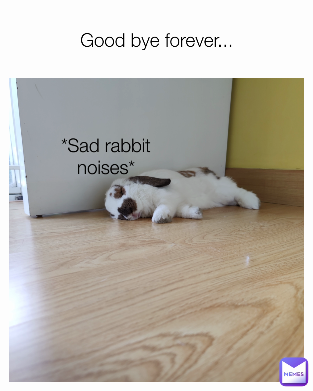 Good bye forever... *Sad rabbit noises*