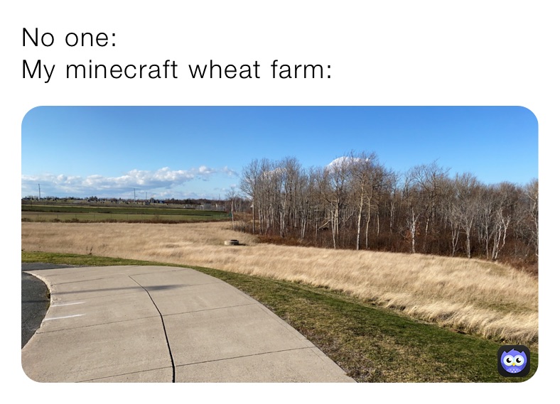 No one:
My minecraft wheat farm: