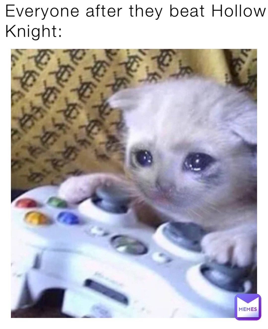 Everyone after they beat Hollow Knight: