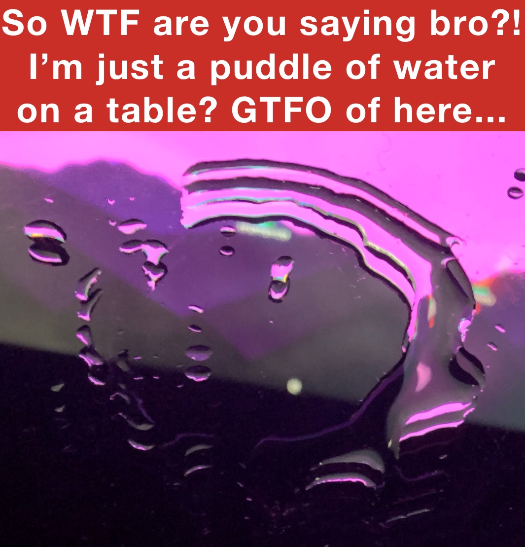 So WTF are you saying bro?! I’m just a puddle of water on a table? GTFO of here...