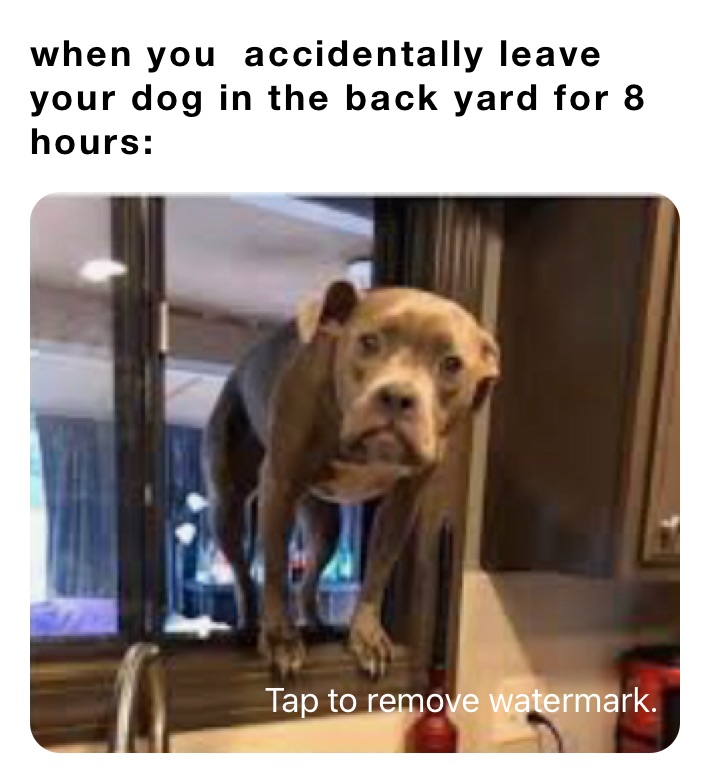 Meme by espn.charles