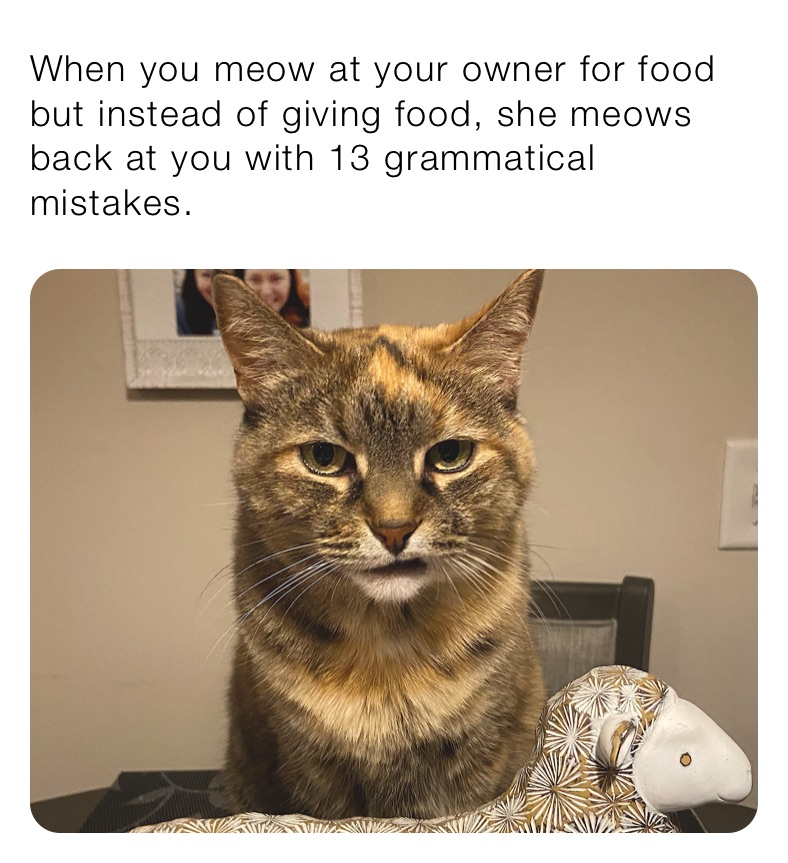 when-you-meow-at-your-owner-for-food-but-instead-of-giving-food-she