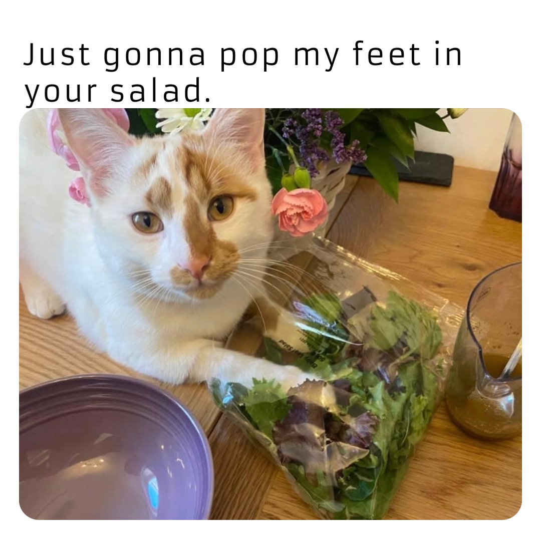 Just gonna pop my feet in your salad.