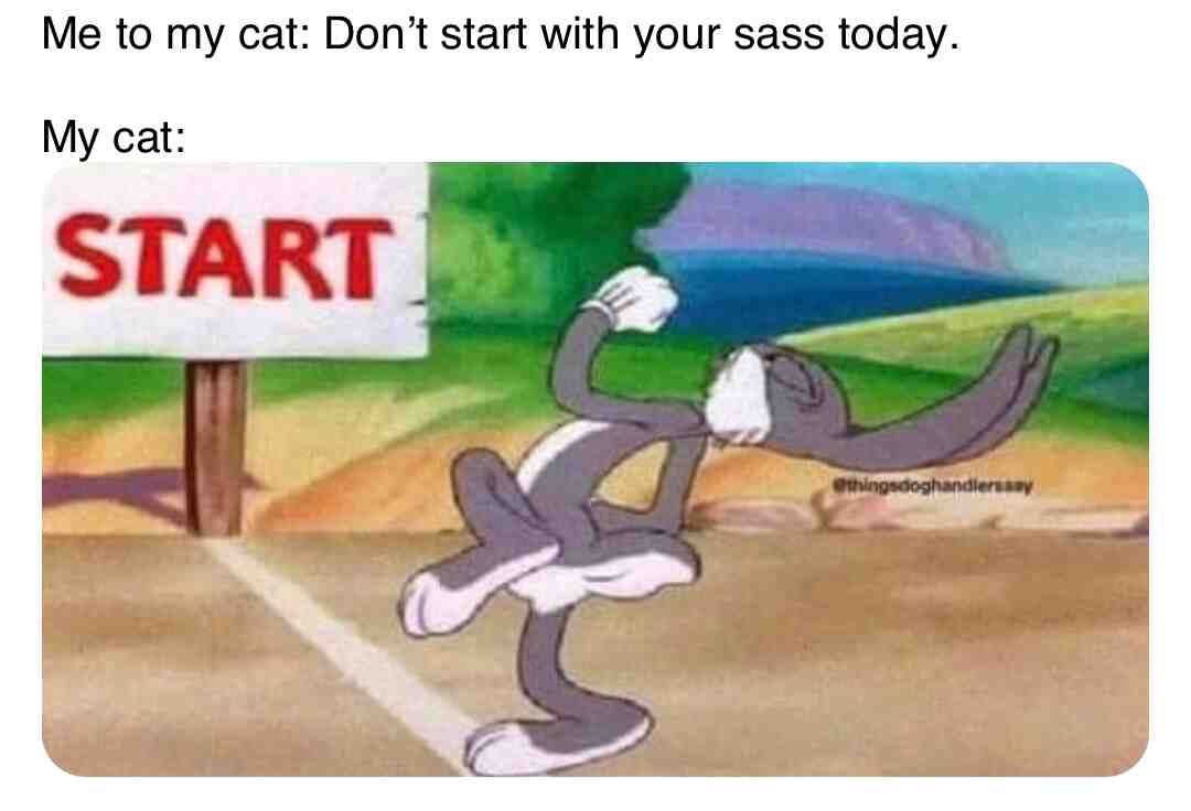 Daily.