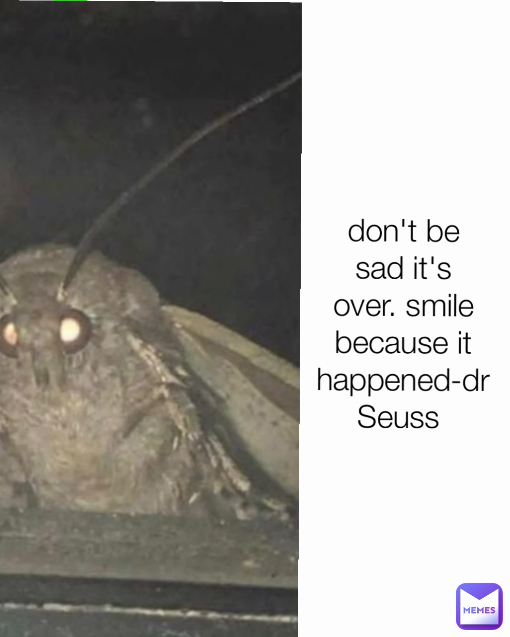 don't be sad it's over. smile because it happened-dr Seuss 