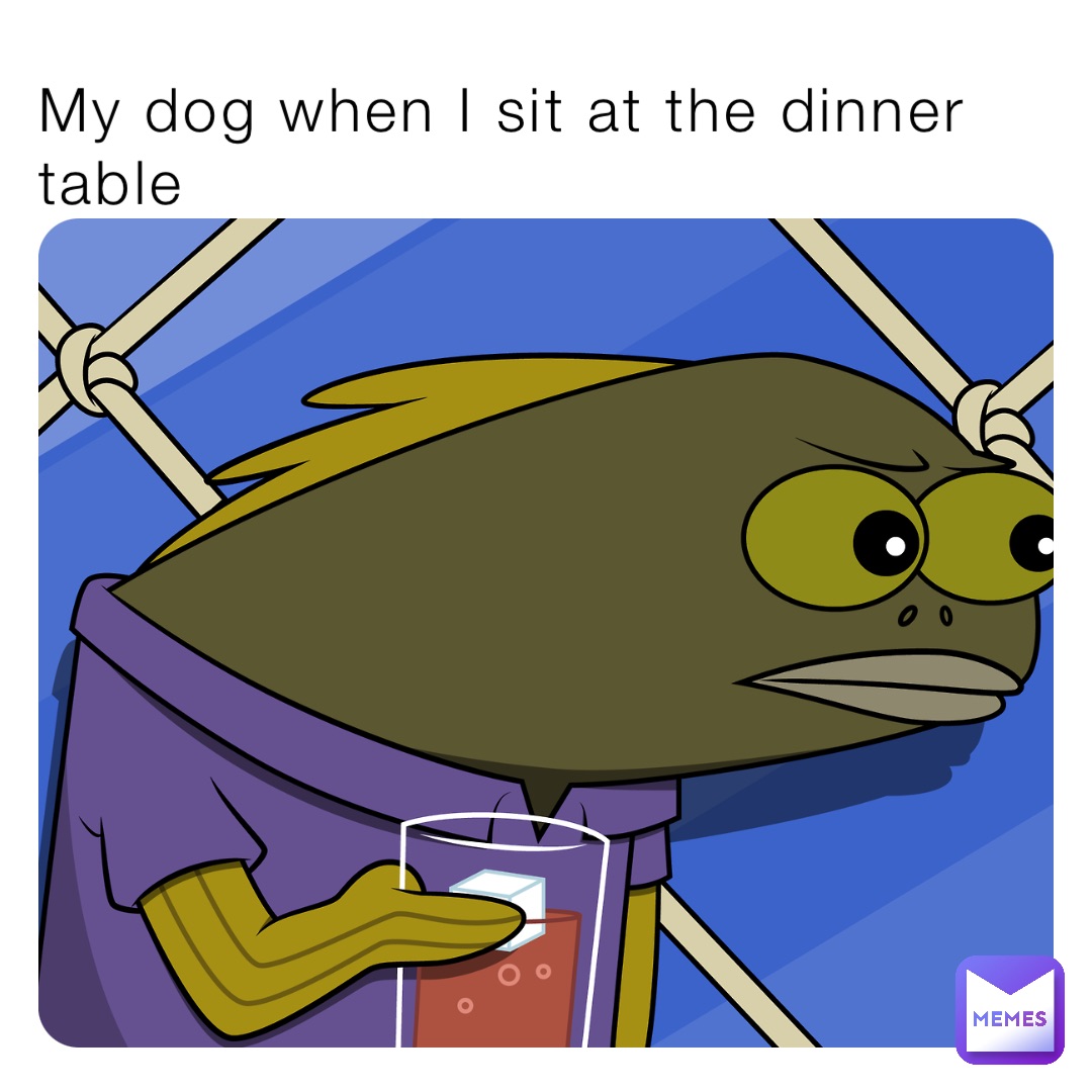 My dog when I sit at the dinner table