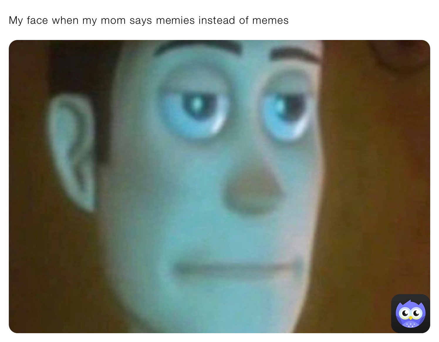 My face when my mom says memies instead of memes