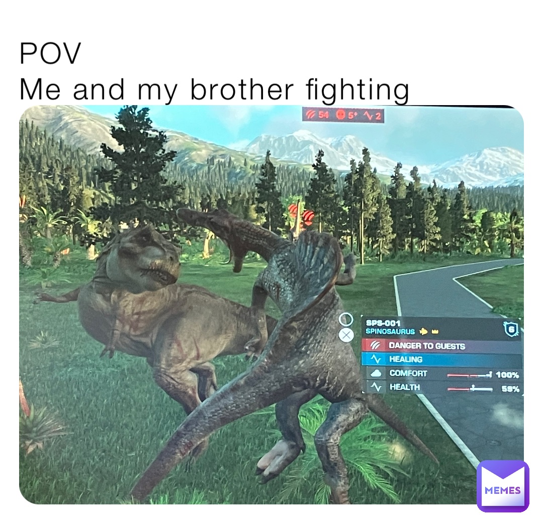 POV
Me and my brother fighting