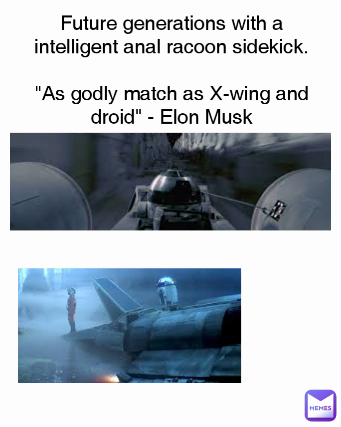Future generations with a intelligent anal racoon sidekick.

"As godly match as X-wing and droid" - Elon Musk