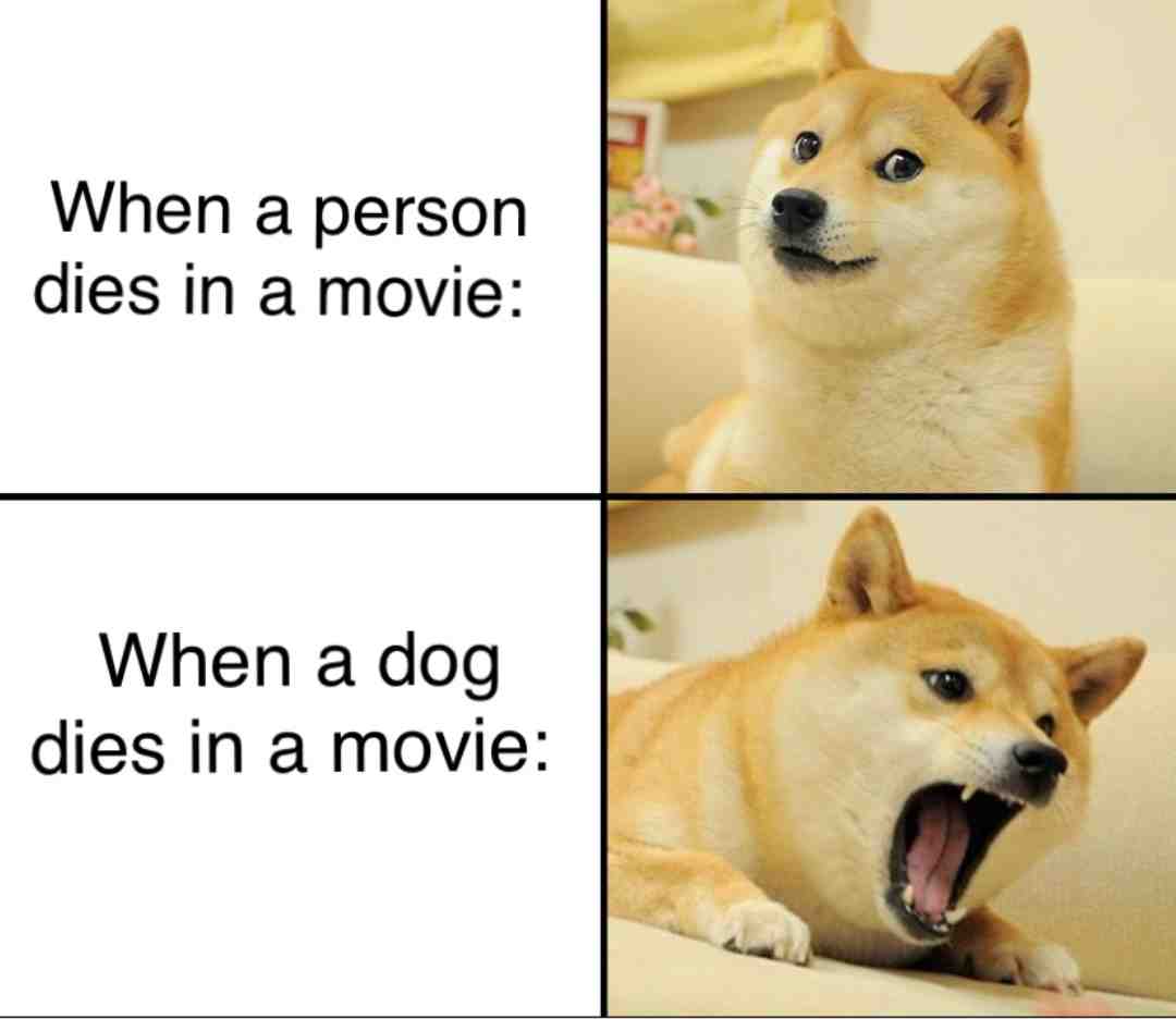 When a person dies I don’t really cry. When a dog dies in crying my eyes out