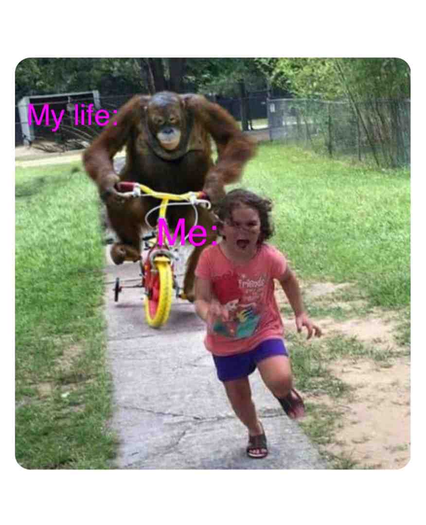 Meme shared by @The_Meme_King2