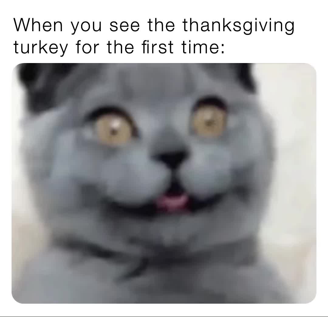 Meme shared by @The_Meme_King2