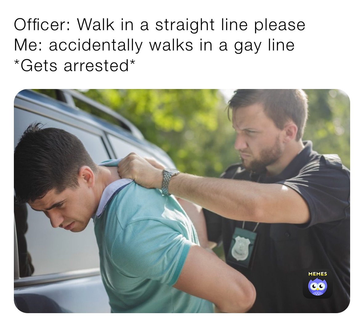 Officer: Walk in a straight line please
Me: accidentally walks in a gay line
*Gets arrested*