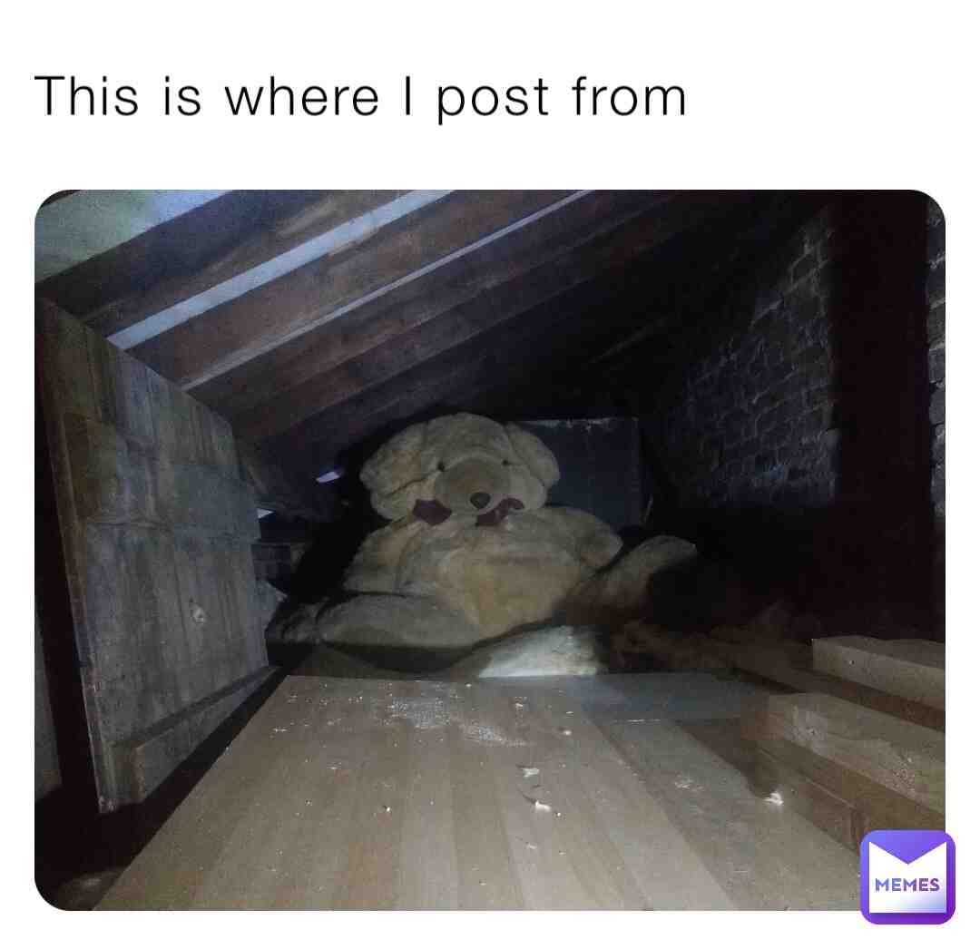 Meme shared by @qkgg48qxkq
