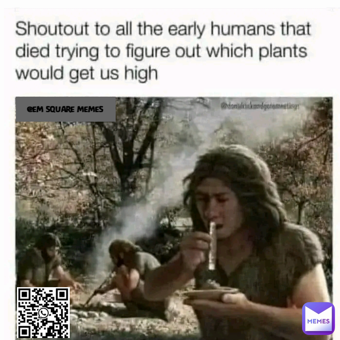 Meme by EMsQUARE3545051