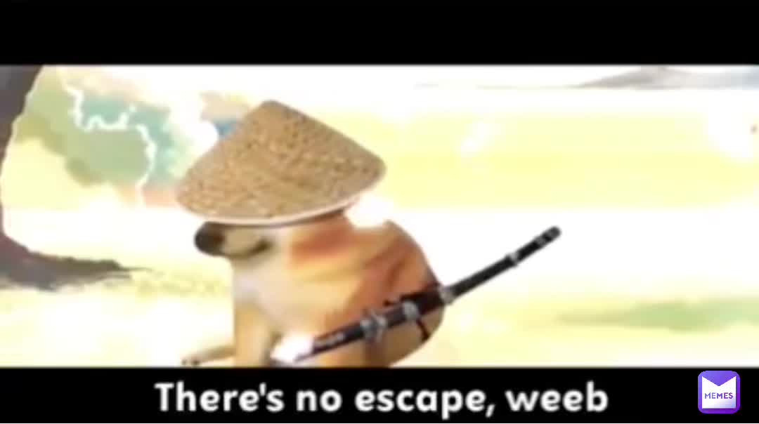 Post by Gin_Ibushi Memes