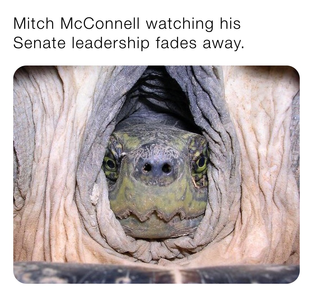 Mitch McConnell watching his Senate leadership fades away.