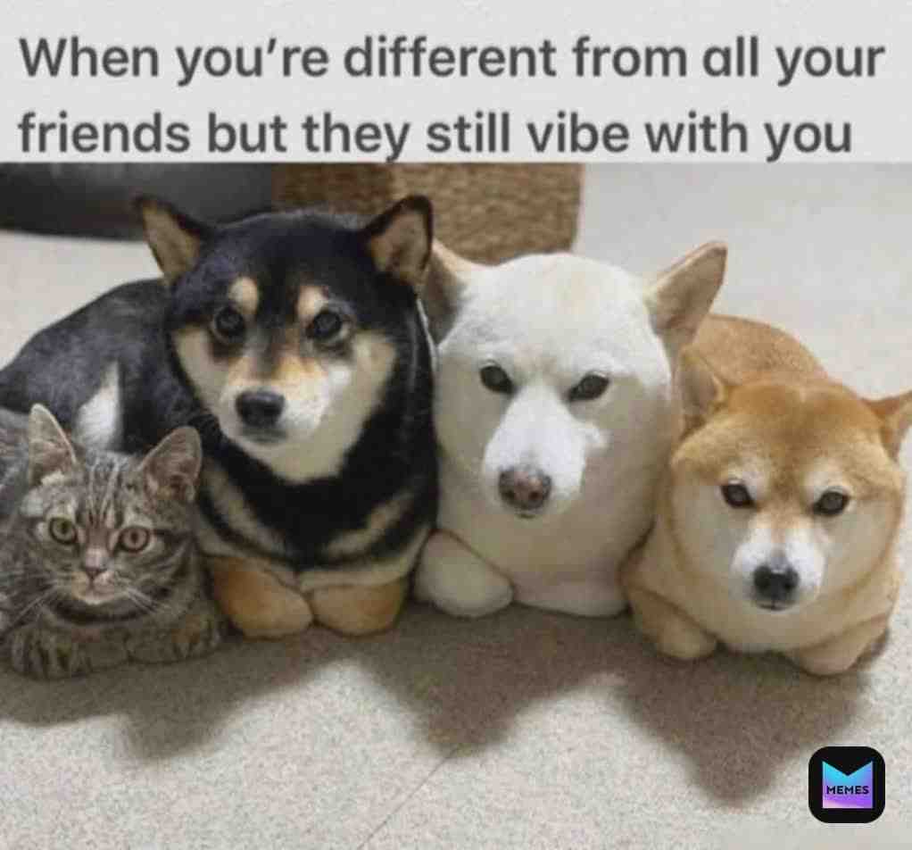 So cute!!!!☺😊🥰🤗😌🥺🥺🥺🥺🥺🥺🥺🥺🥺🥺🥺🥺🥺🥺