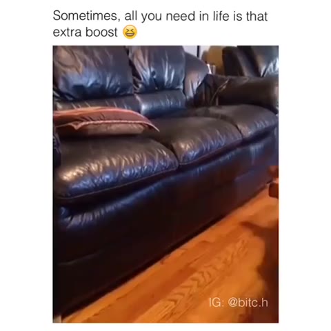 Sometimes you just need a laugh.