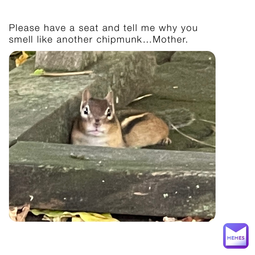 Please have a seat and tell me why you smell like another chipmunk…Mother.