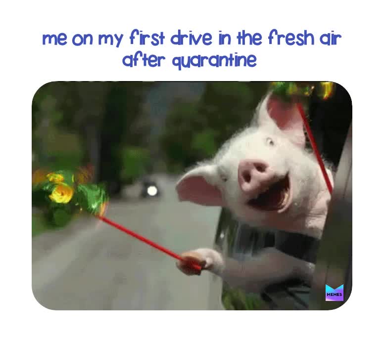 Post by the_official_trash_can Memes