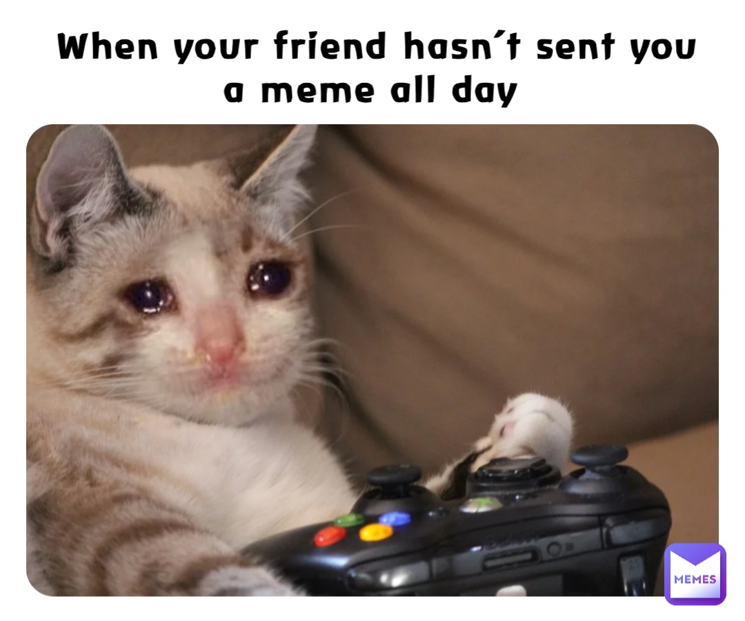 When your friend hasn’t sent you a meme all day