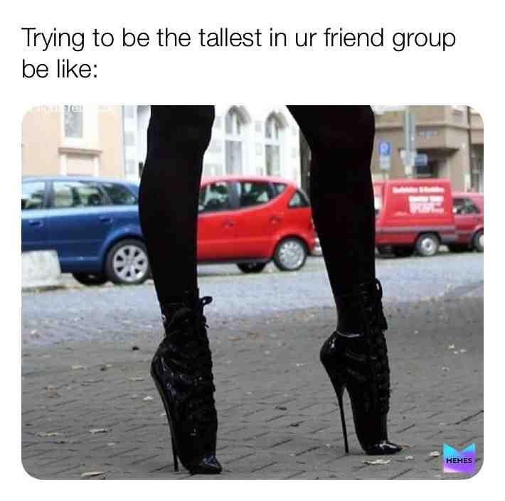 Meme shared by @PrincessDestiny