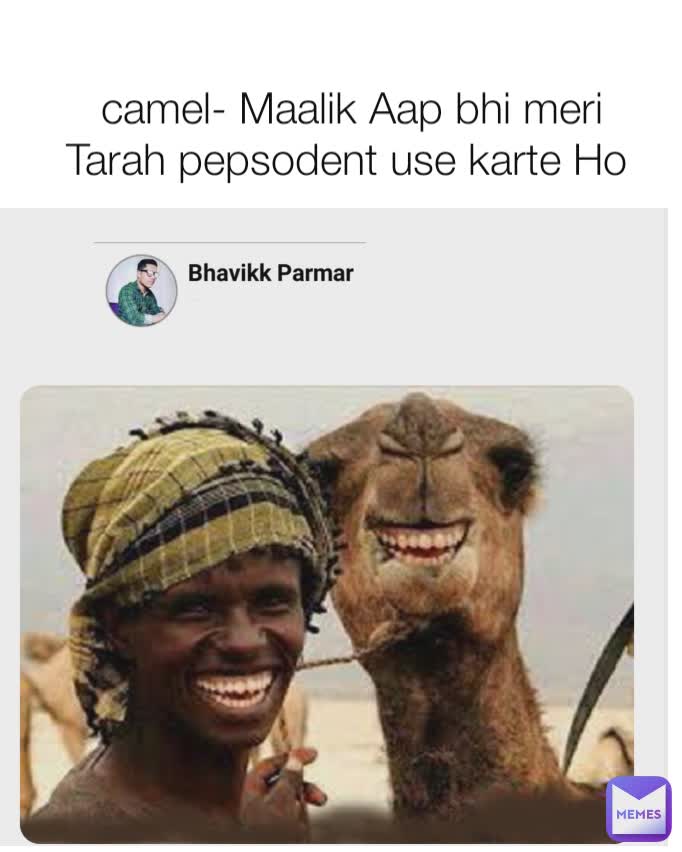 camel- Maalik Aap bhi meri Tarah pepsodent use karte Ho 