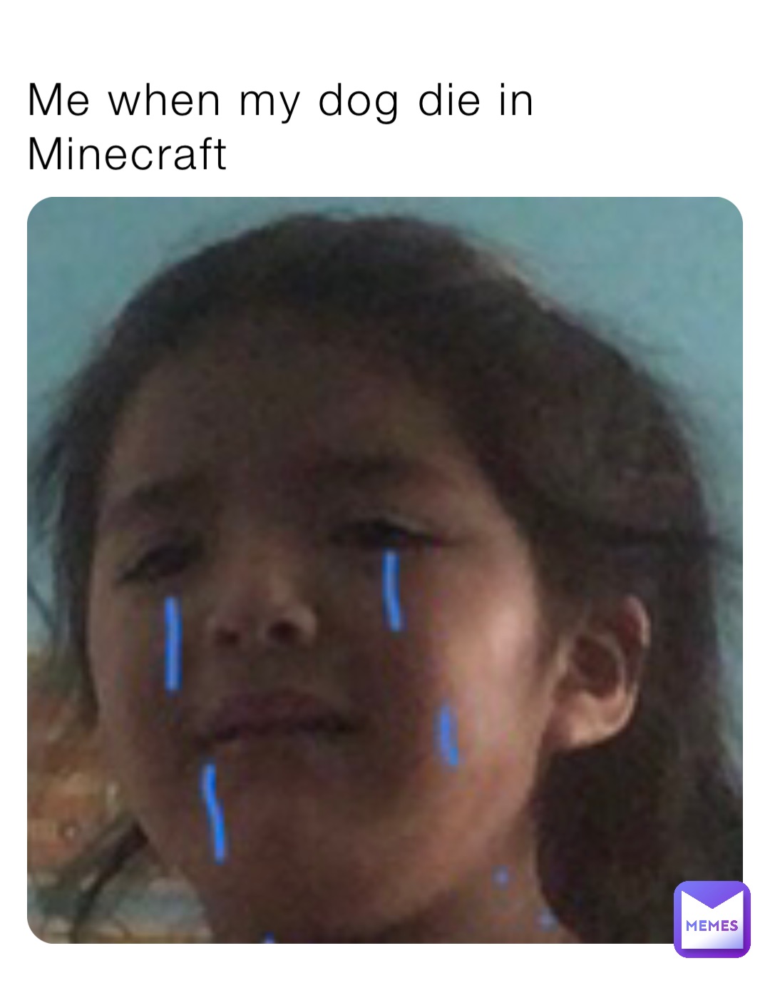 Me when my dog die in Minecraft