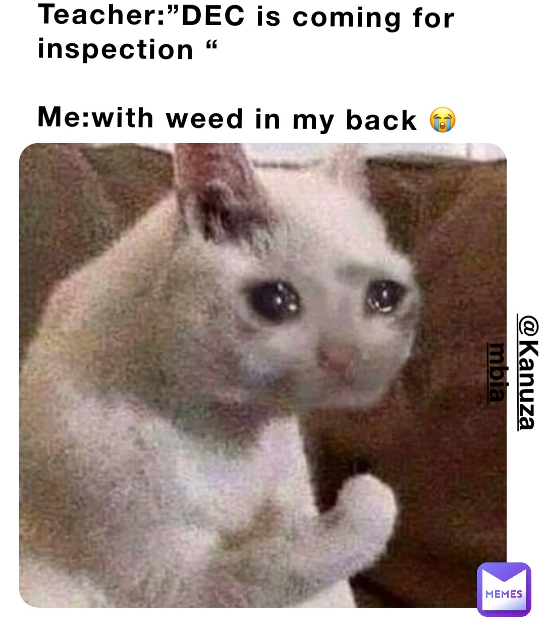 Teacher:”DEC is coming for inspection “

Me:with weed in my back 😭 @Kanuzambia