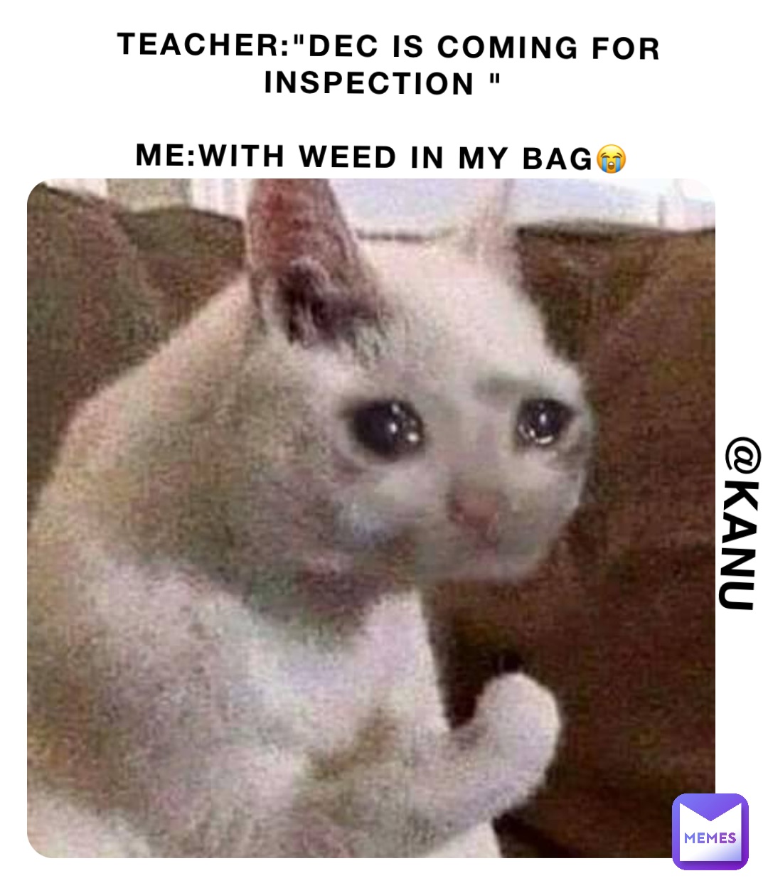 TEACHER:"DEC IS COMING FOR INSPECTION "

ME:WITH WEED IN MY BAG😭 @KANU
