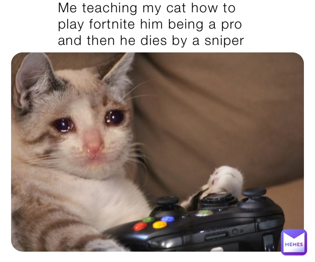 Me teaching my cat how to play fortnite him being a pro and then
