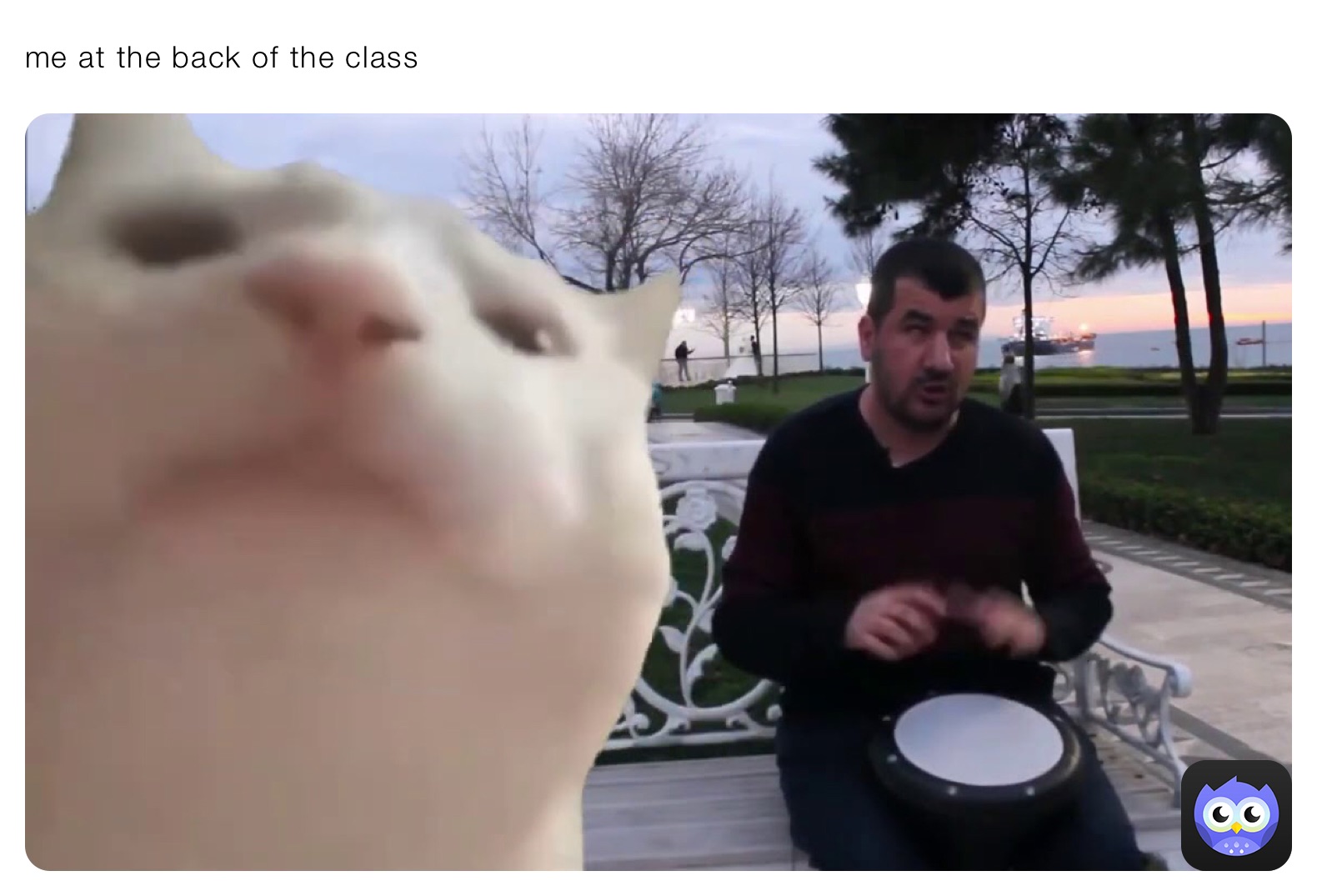 me at the back of the class 