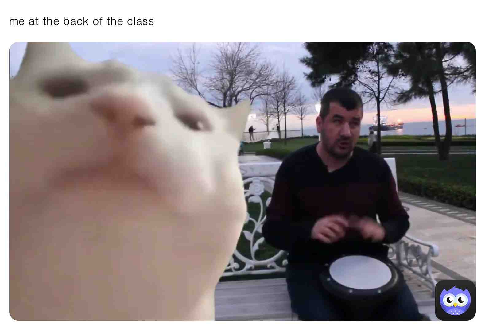 Meme shared by @dumb_bitch12345