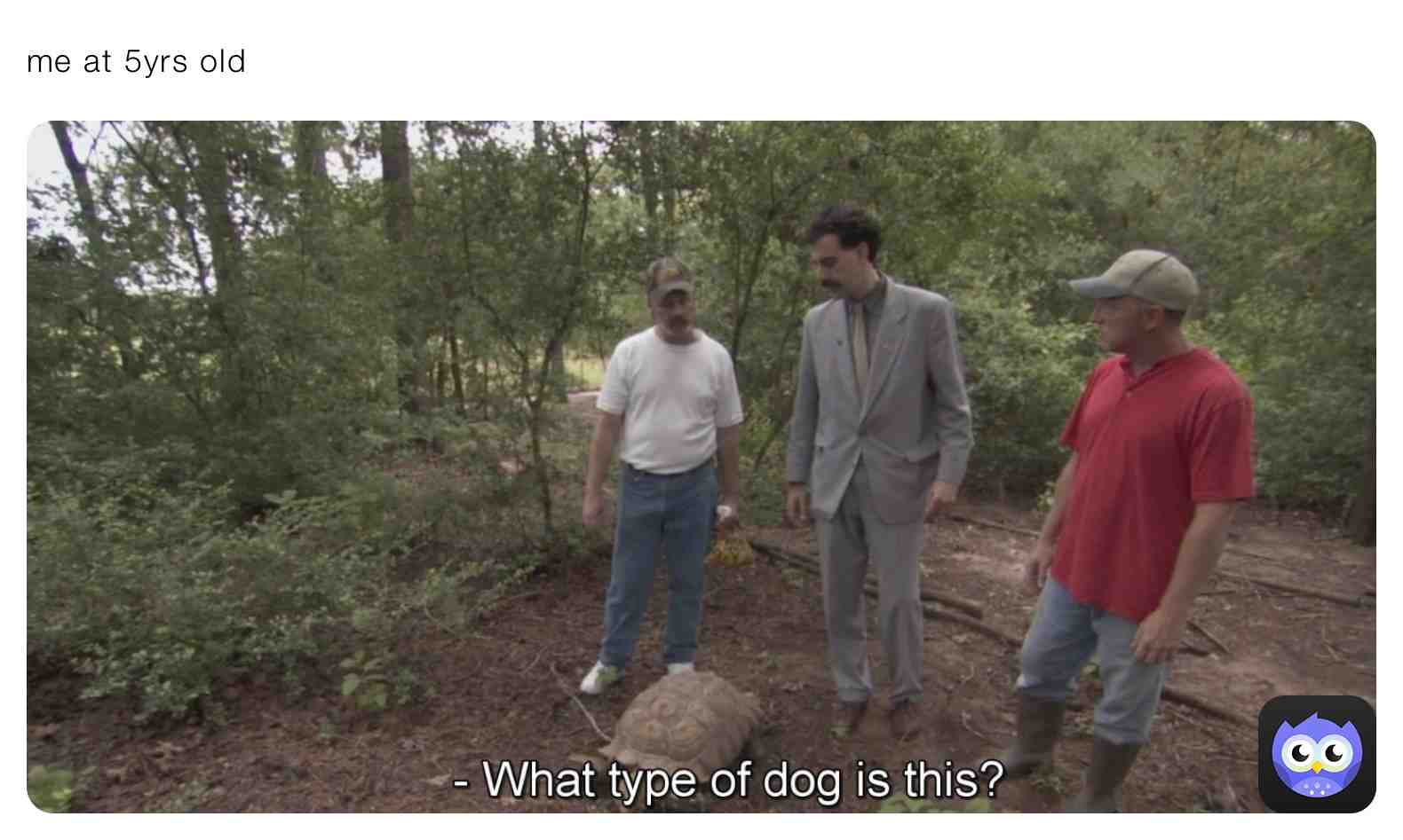 Meme shared by @dumb_bitch12345