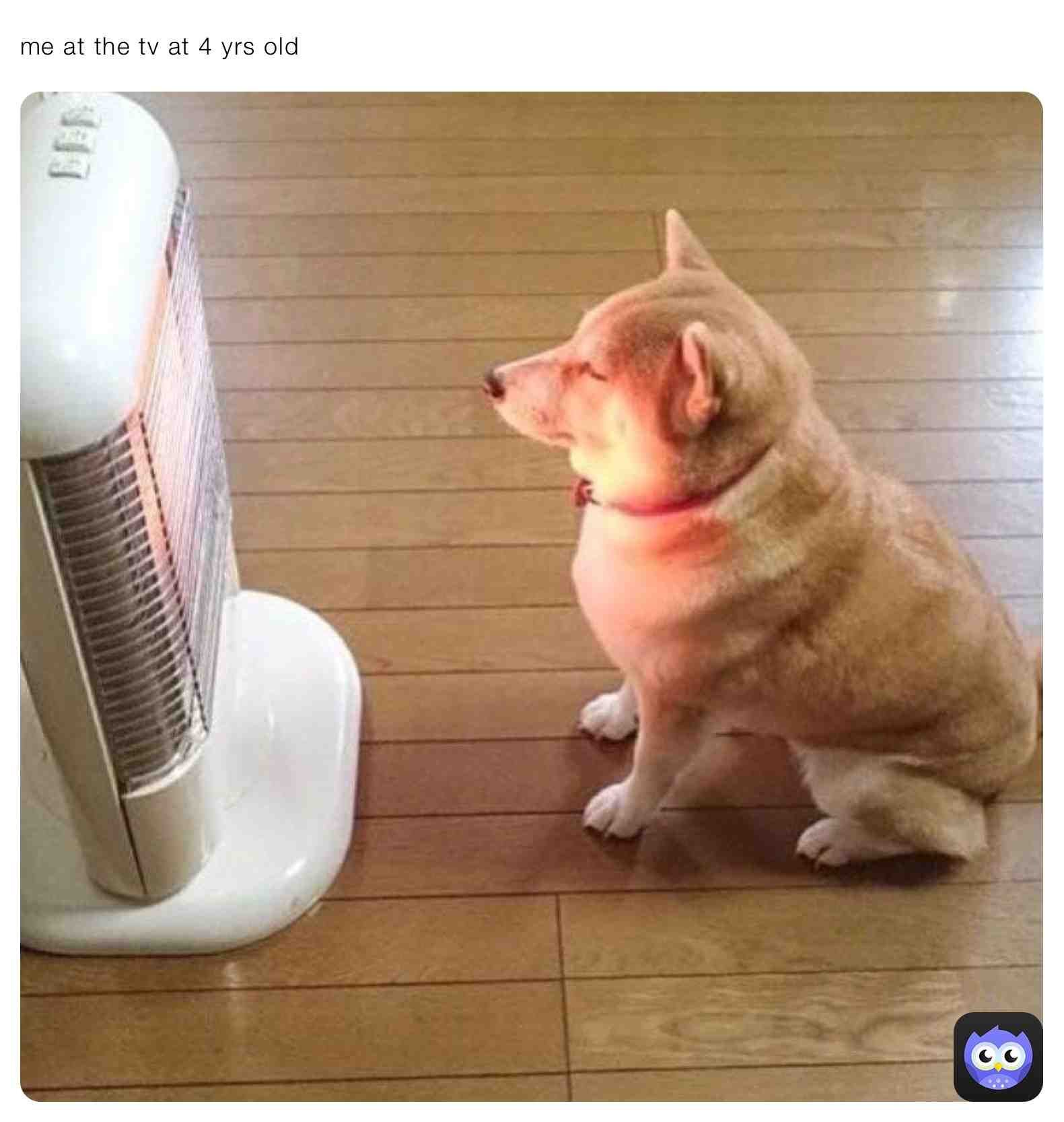 Meme shared by @dumb_bitch12345