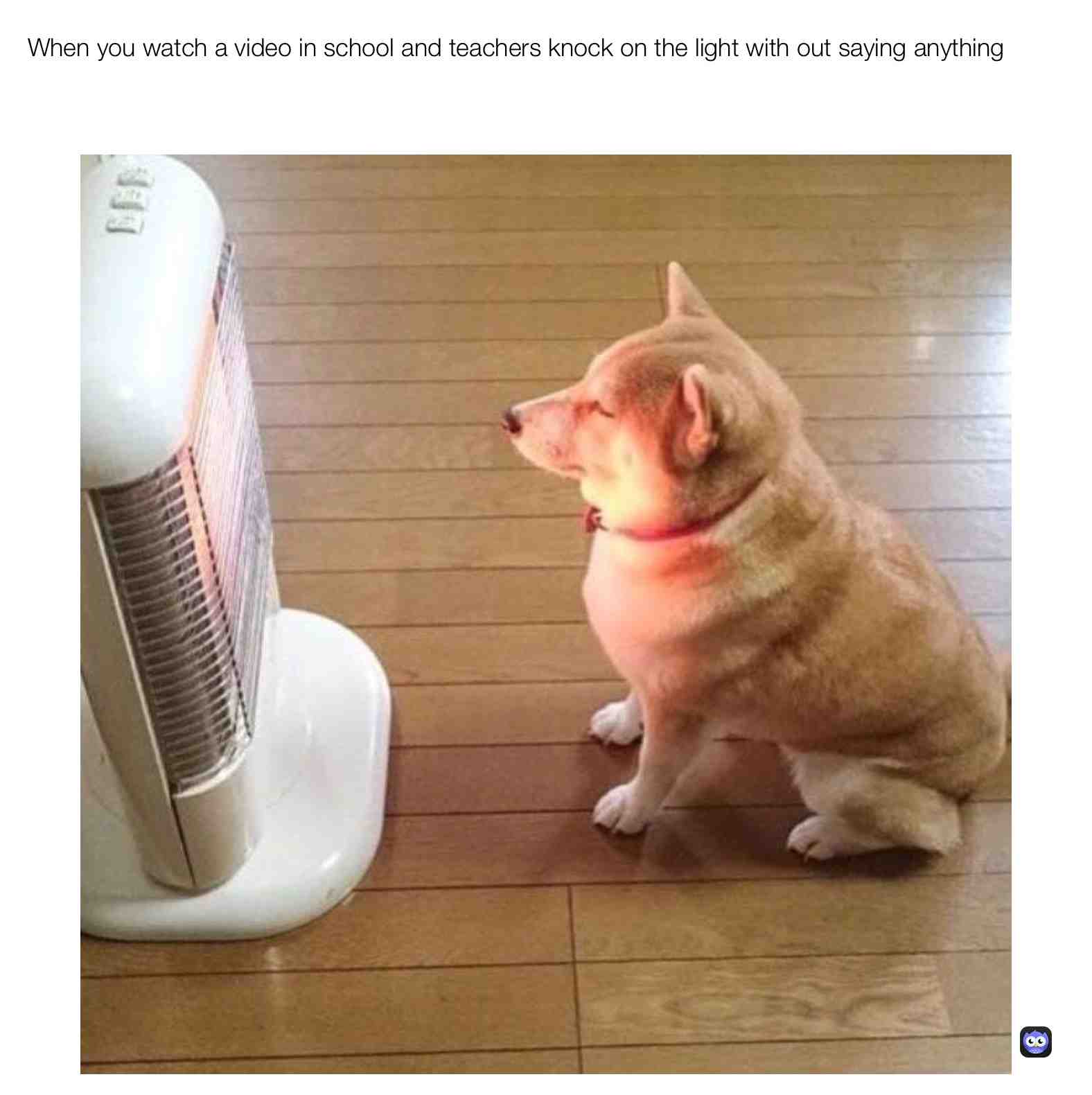 My eyes commit suicide when this happens #dogheater