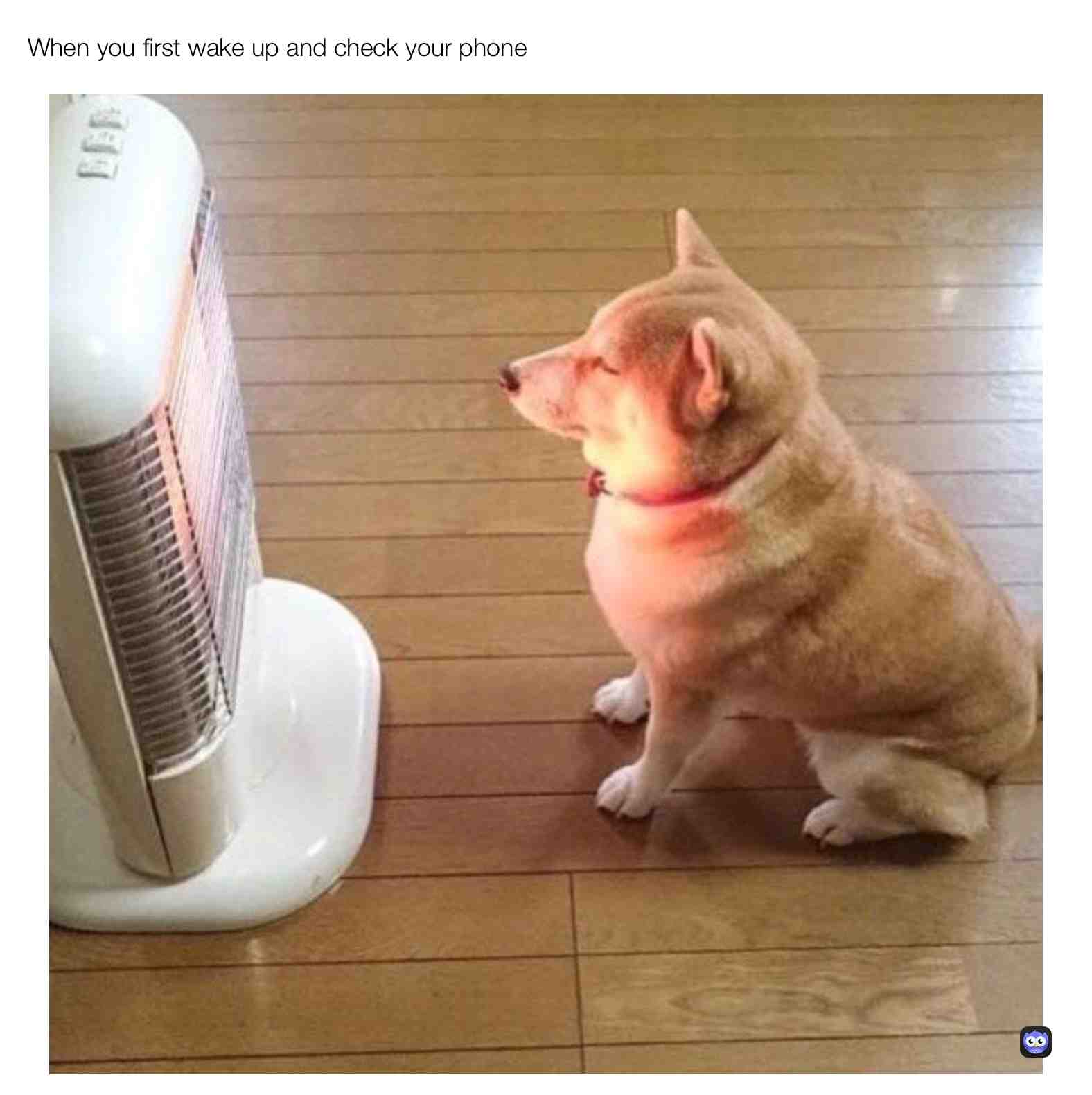 #dogheater