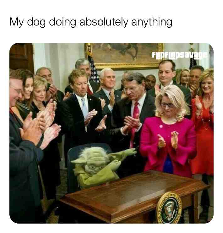 Well wel we w .  #funny  #dailymemes  #nonutnovember  #humor  #laugh  #okboomer  #funnymemes  #darkhumor
